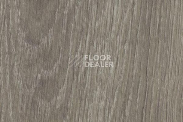 Виниловая плитка ПВХ FORBO Allura Ease 60280EA7 grey giant oak фото 1 | FLOORDEALER